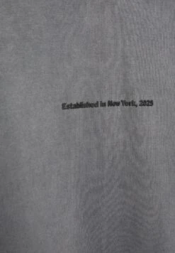 PULL & BEAR NEW YORK GRAPHIC - Felpa Con Cappuccio - Grey -PULL - BEAR Negozio 4c2c3d54de814d7184eea8710eb89bb0